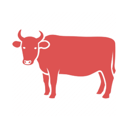 BEEF