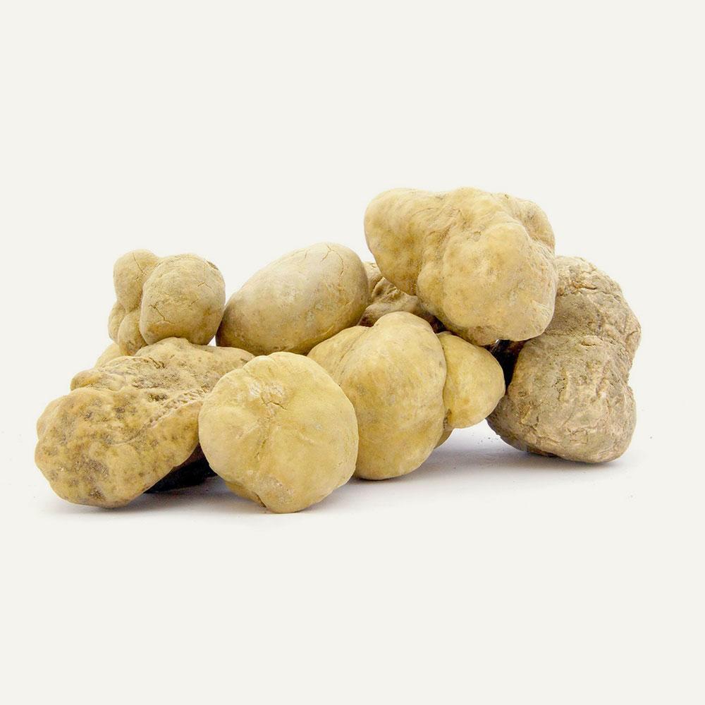 Fresh White Alba Truffles